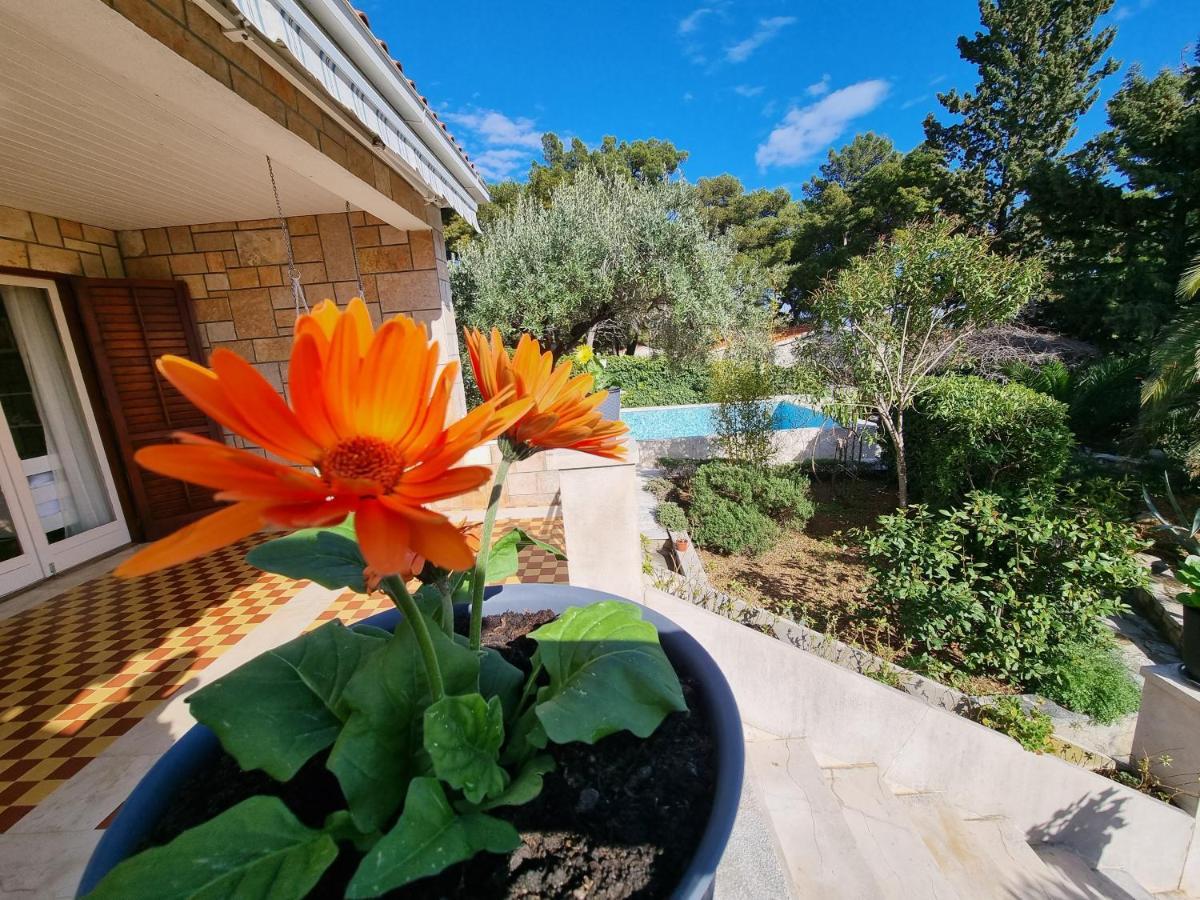 Villa Ilaria Бол Екстер'єр фото